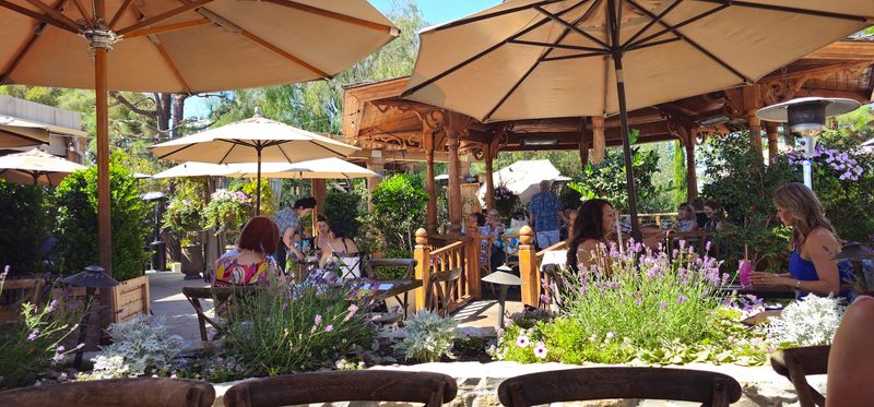 Workshops, Events, And Nature-Inspired Gatherings