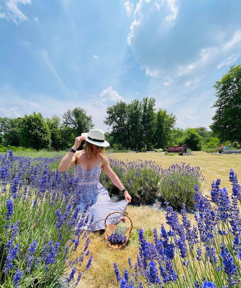 Yoga In The Lavender Fields 