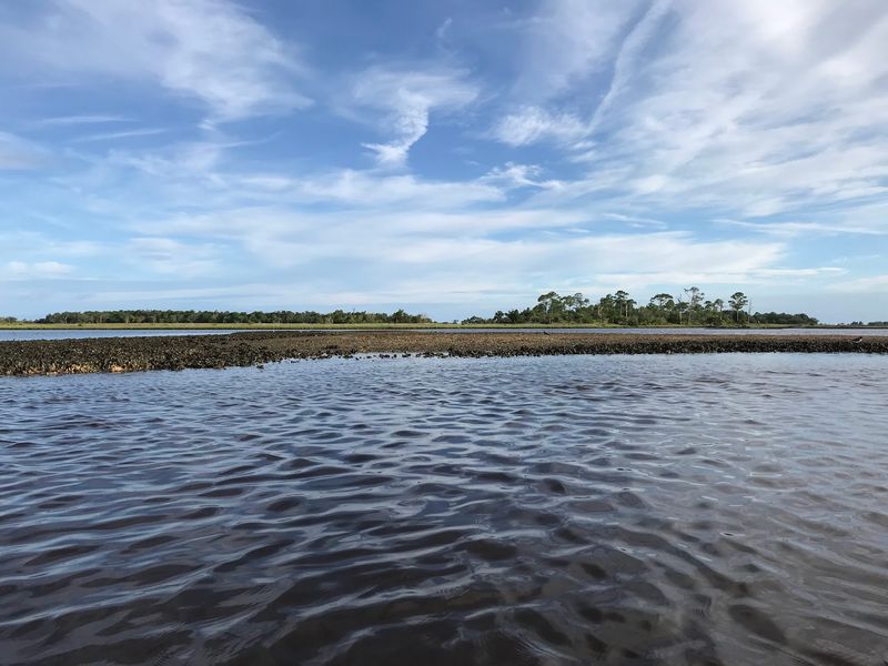 World-Class Bird Watching Opportunities