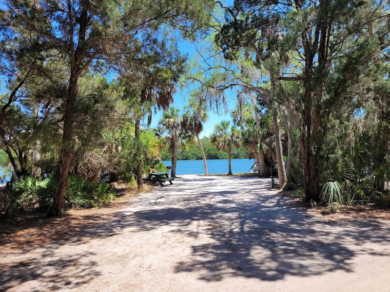 Biking and Walking Trails Through Coastal Florida Wilderness