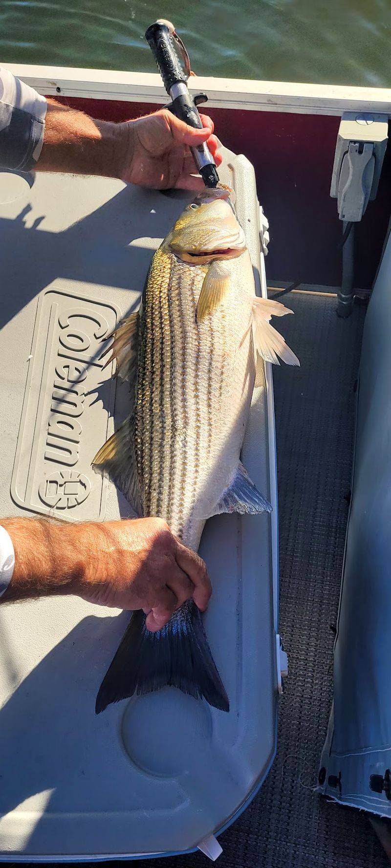 World-Class Fishing That Never Quits