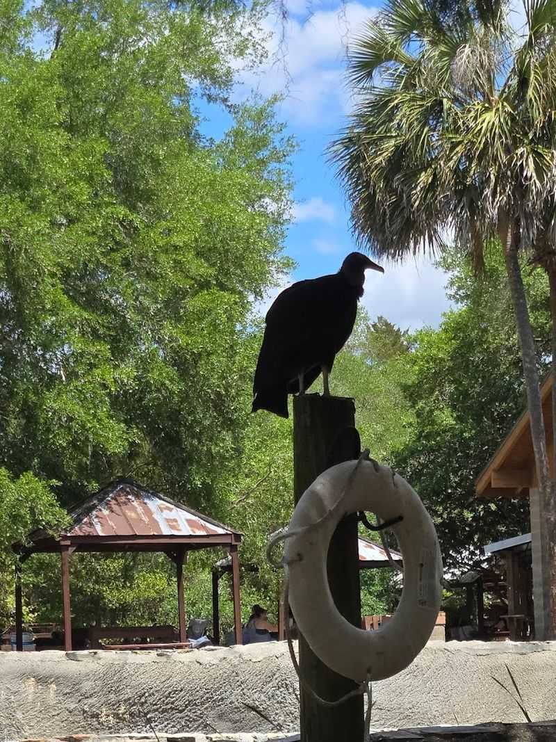 The Peaceful, Almost Meditative Atmosphere Inside The Cave