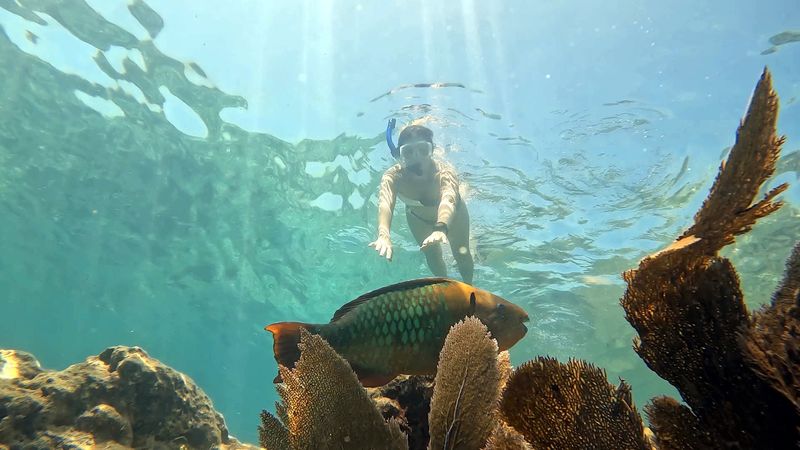 World-Class Snorkeling at Looe Key Reef World-Class Snorkeling at Looe Key Reef