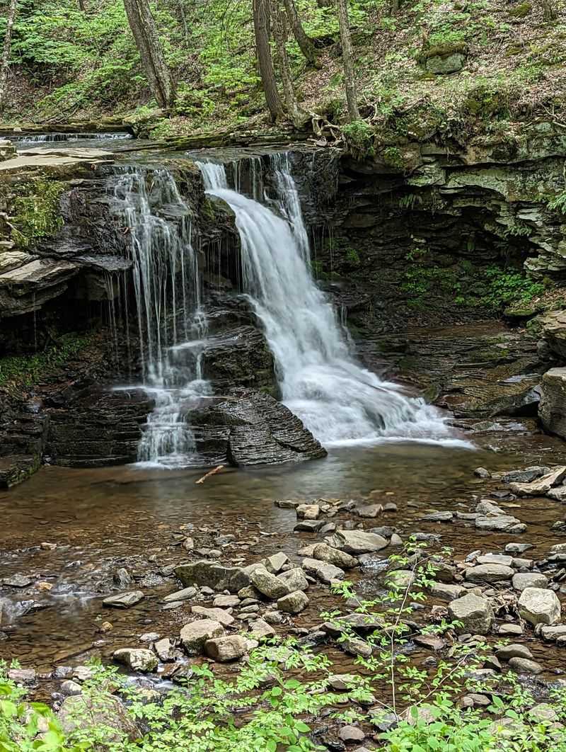 Worlds End State Park, Forksville, PA
