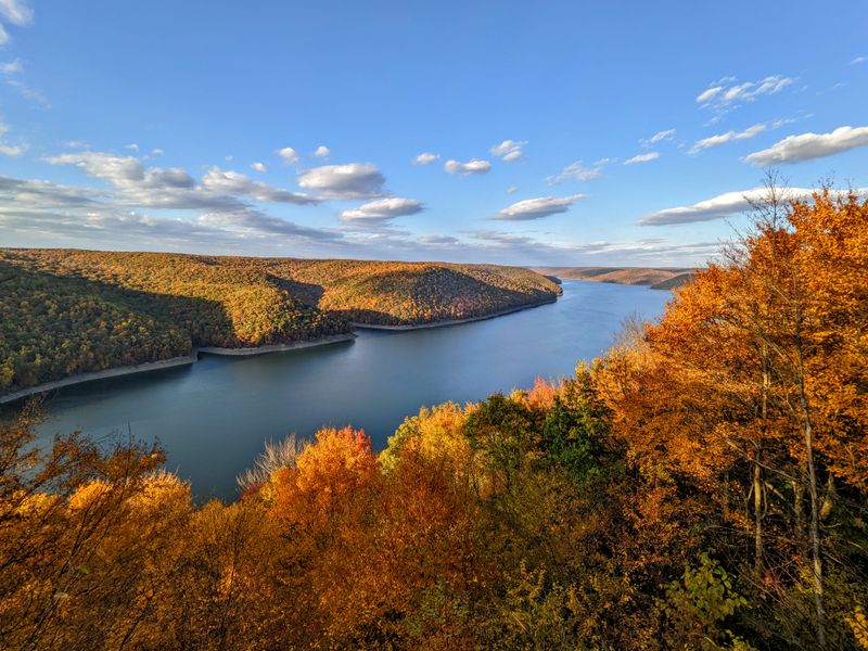 Allegheny National Forest