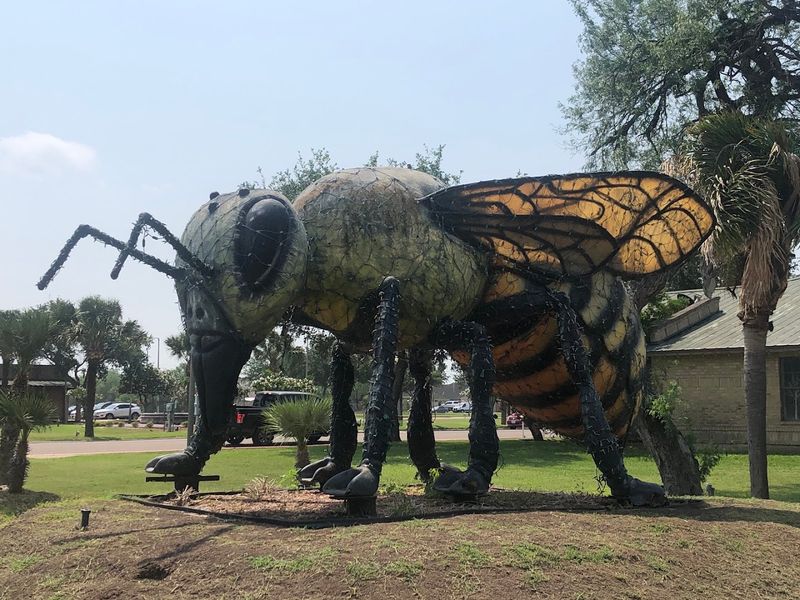 World's Largest Bee