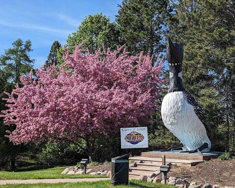 World's Largest Talking Loon