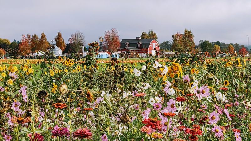 Worth A Spot On Your Fall Weekend Plans Worth A Spot On Your Fall Weekend Plans