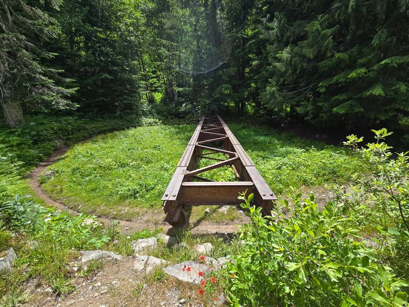 Worth Every Muddy Step For Curious Explorers