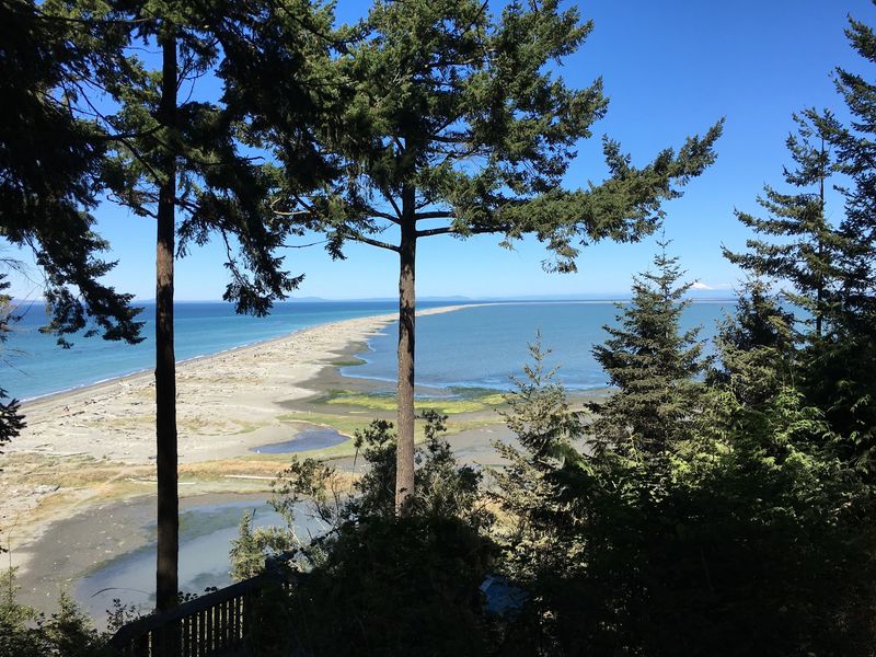 Worth Every Sandy Step, Even Halfway