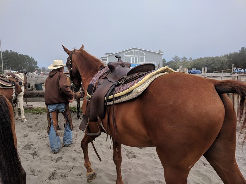 Wranglers Who Double As Storytellers
