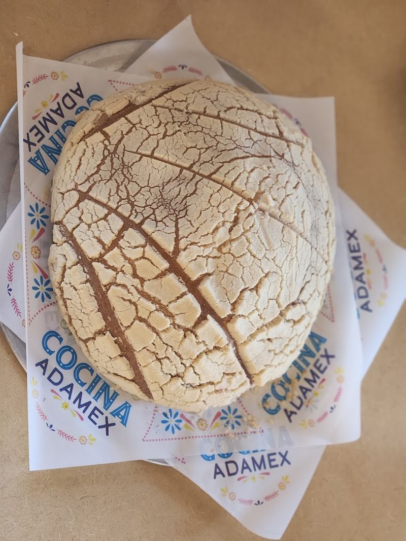 XL Conchas That Broke The Internet