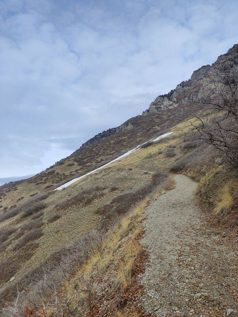 Y Mountain Trail