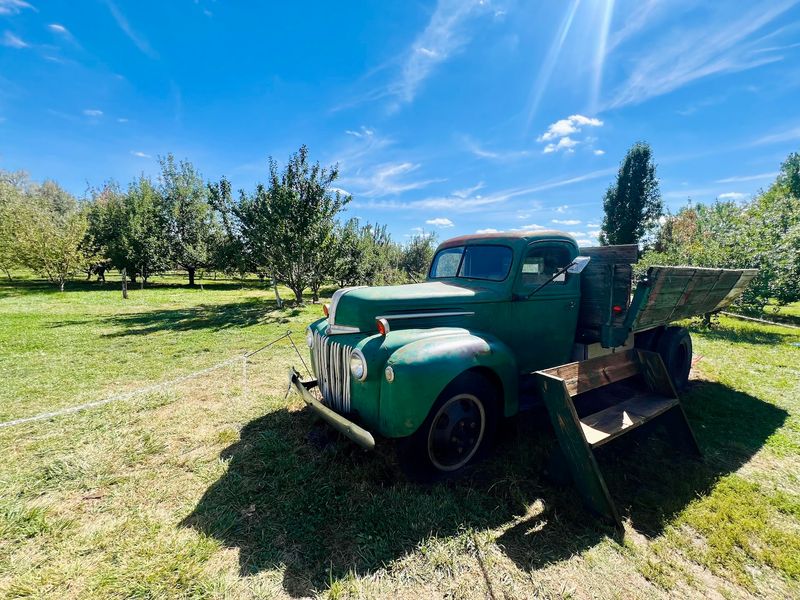 YA YA Farm & Orchard, Longmont