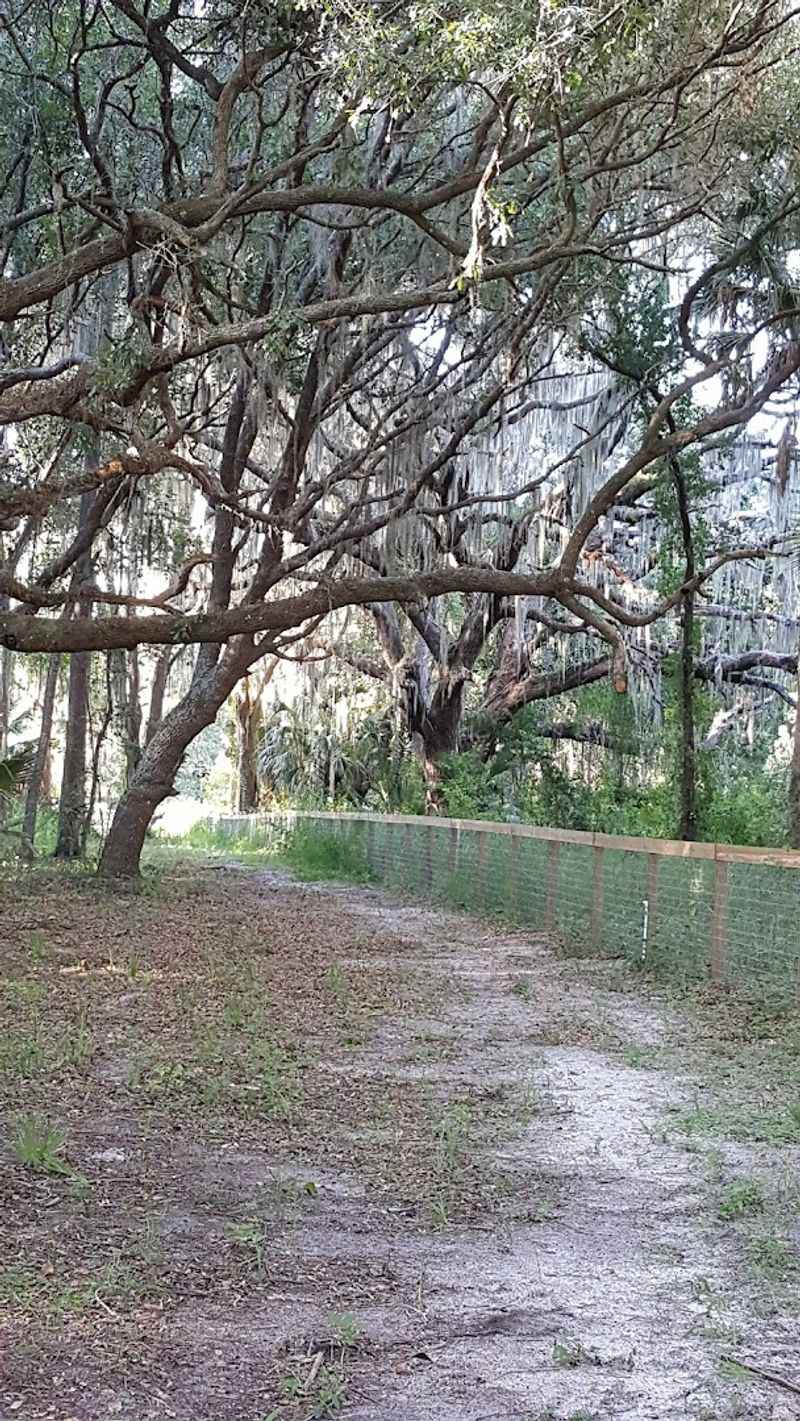 Yalaha Ghost Settlement Area