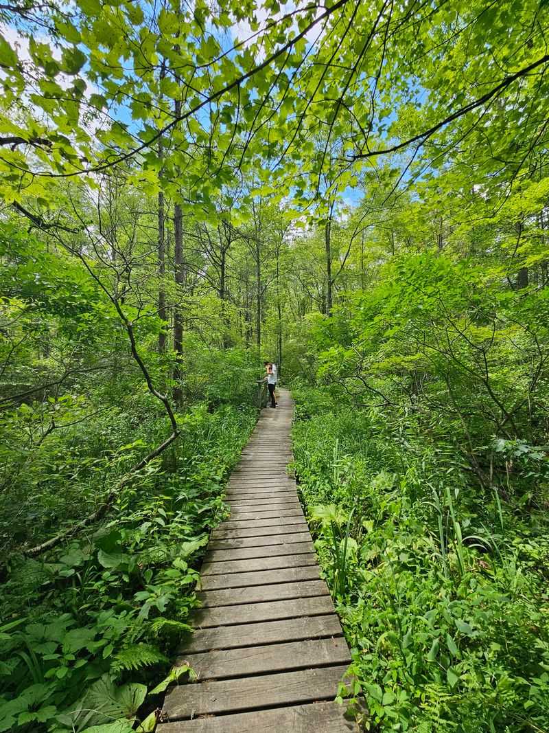 Yankee Springs Recreation Area - Middleville