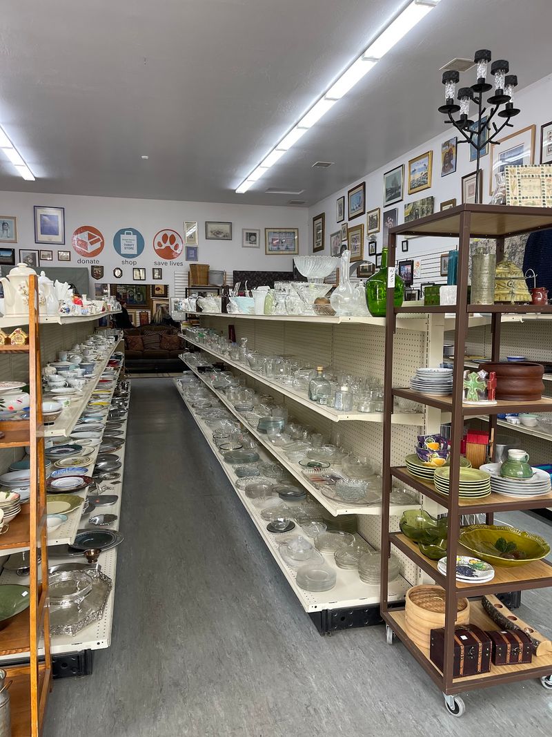 Yavapai Humane Society Thrift Store