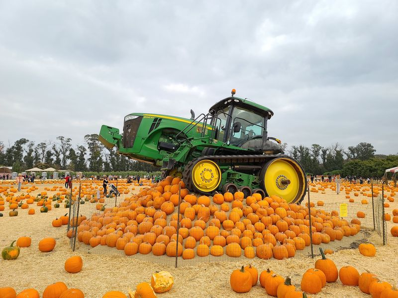 Year-Round Farm Fun That Never Gets Old