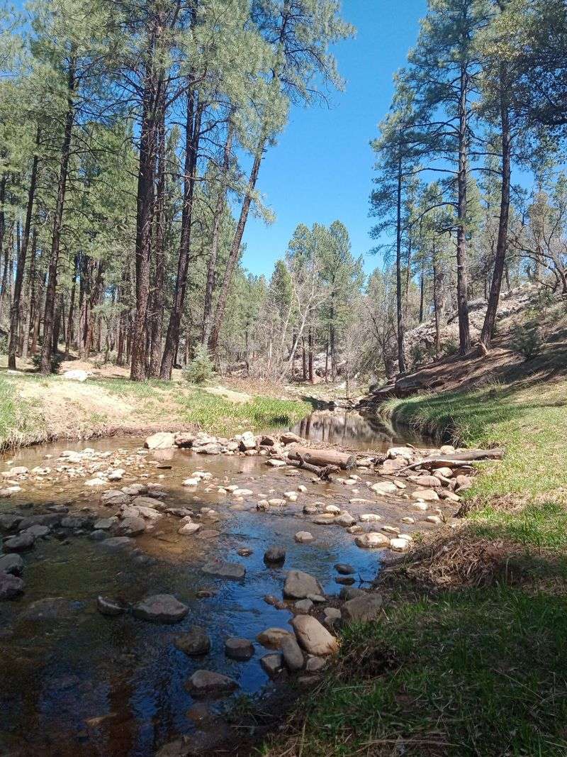 Hiking Trails For Every Ability Level