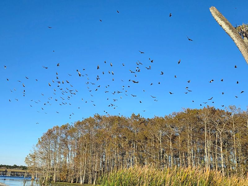 Professional-Grade Lighting Conditions