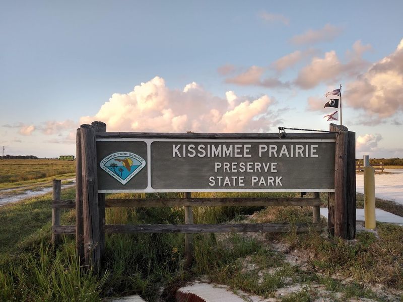 Year-Round Stargazing Opportunities