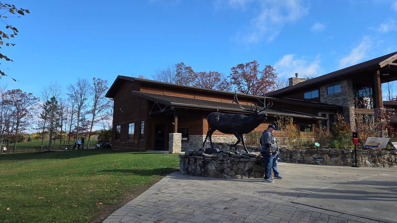 Respectful Wildlife Viewing Protects Both Visitors and Elk