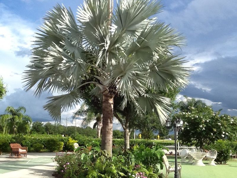 Year-Round Warm Climate