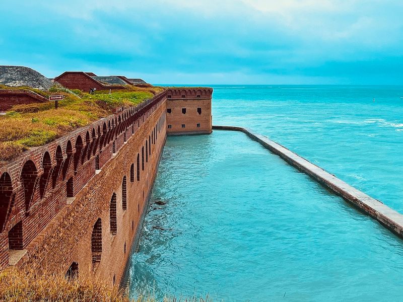 Barracuda Encounters That Quicken Pulses