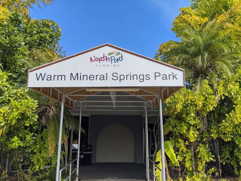 Mineral-Rich Water With Real Wellness Benefits