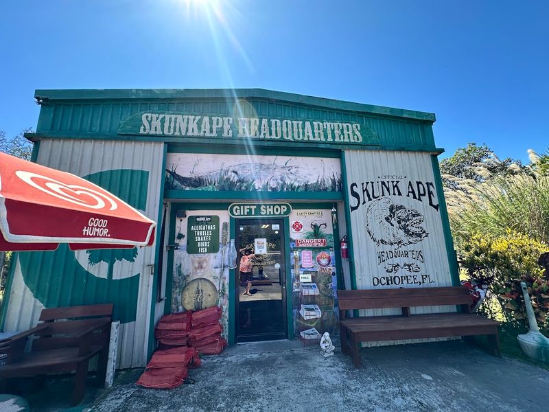 Skunk Ape Research Headquarters, Ochopee