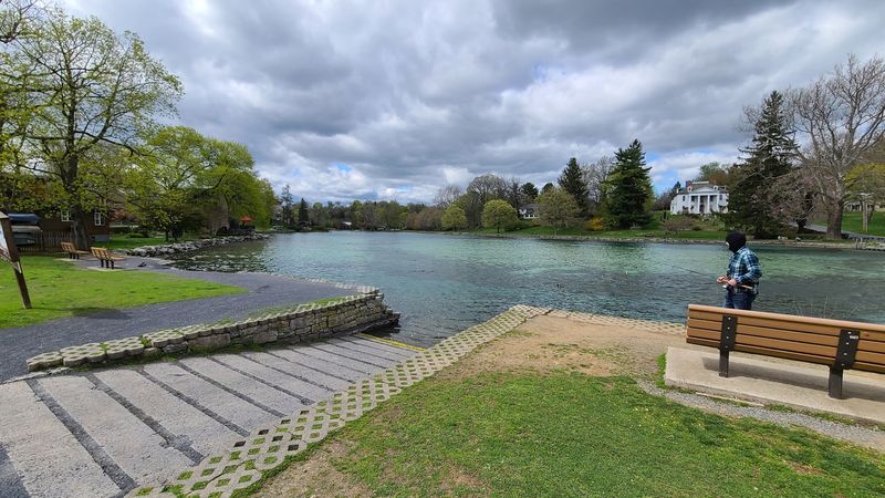 The Unique Microclimate Around the Spring