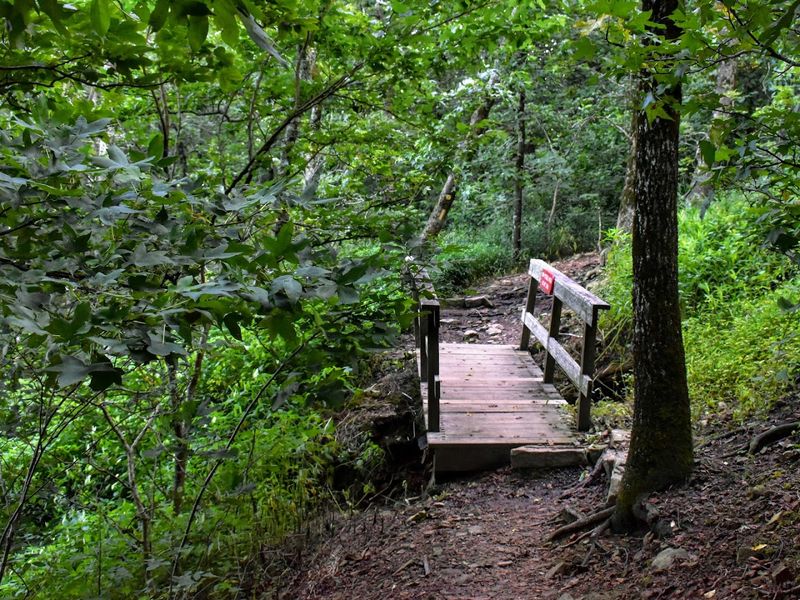Lovers' Leap Trail, Queen Wilhelmina State Park
