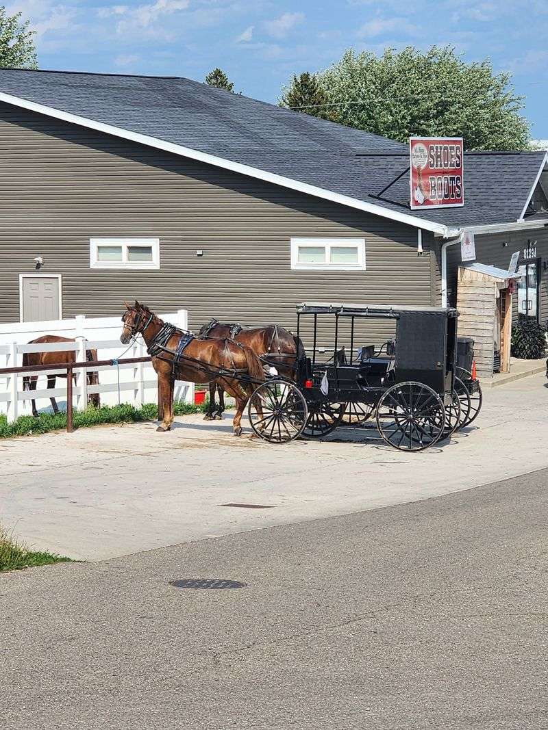 Ohio Amish Country – Holmes County and Beyond