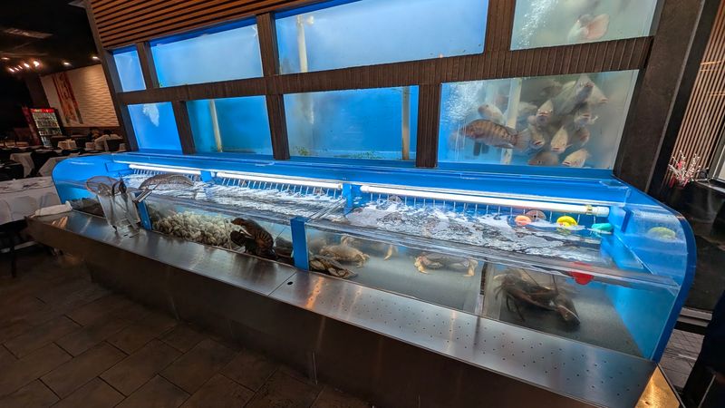 Yes, The Seafood Is Swimming When You Arrive