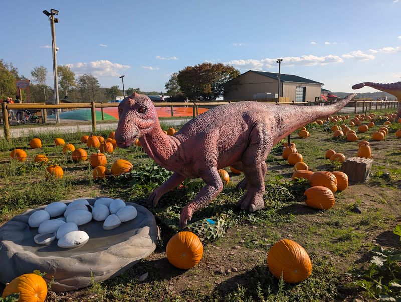 Yes, There Are Dinosaurs At A Pumpkin Patch Yes, There Are Dinosaurs At A Pumpkin Patch