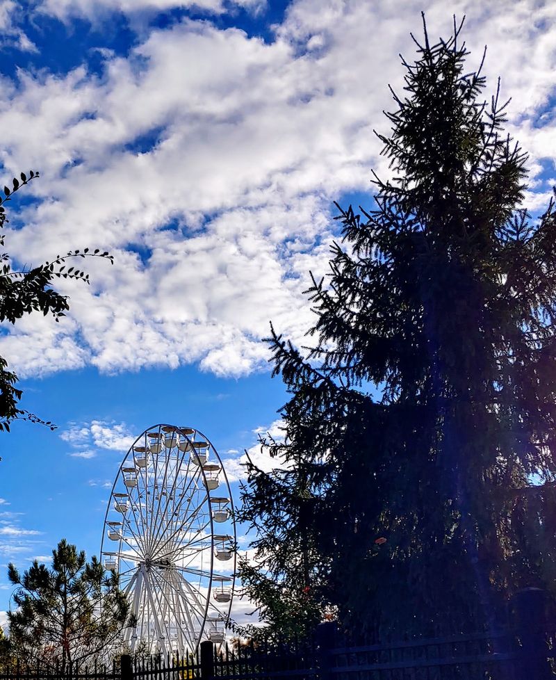 Yes, There Are Roller Coasters Yes, There Are Roller Coasters