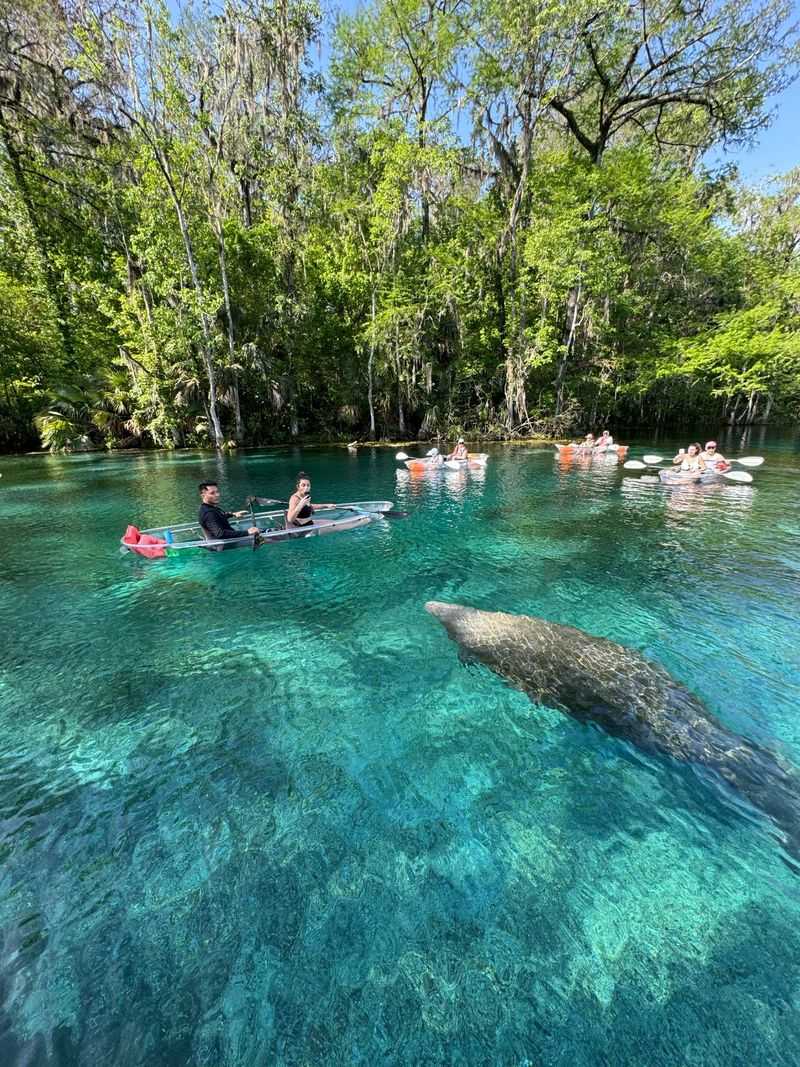Kayaking The Silver River’s Mirror
