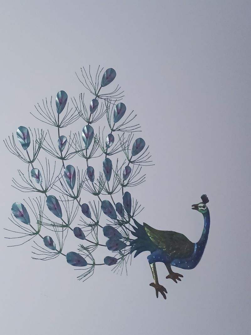Yes, Those Vintage Metal Peacocks Are Waiting For You