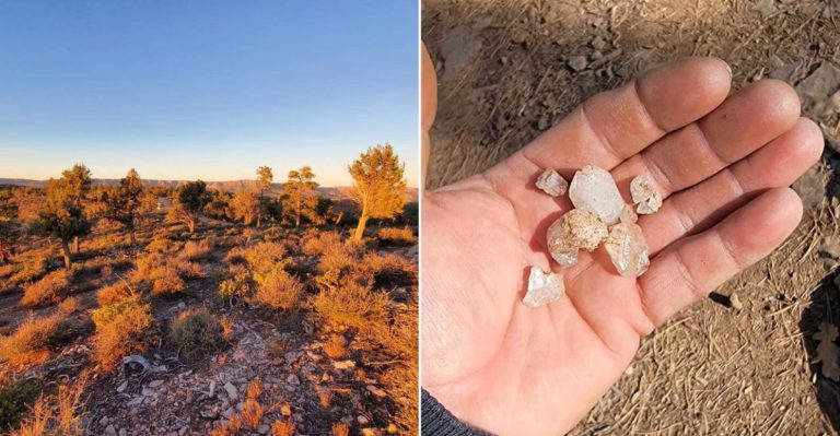 Yes, You Can Hunt For “Diamonds” In Arizona And Take Them Home
