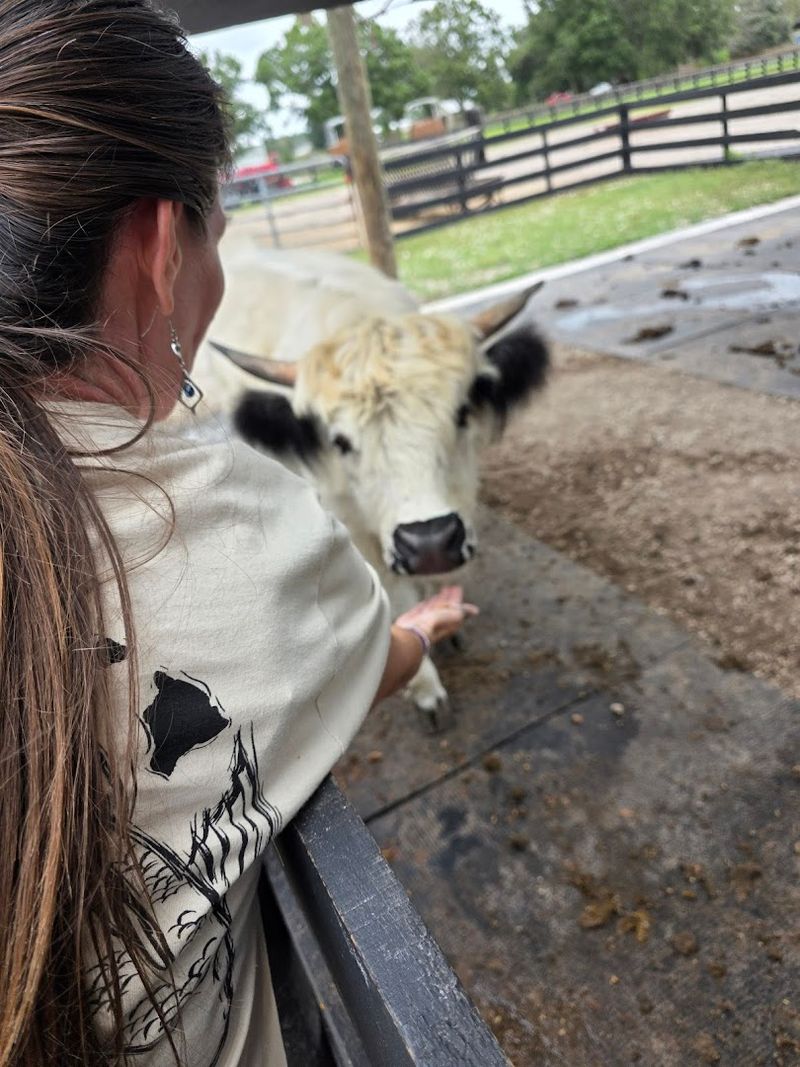 The Famous Lemonade Is Worth Every Sip
