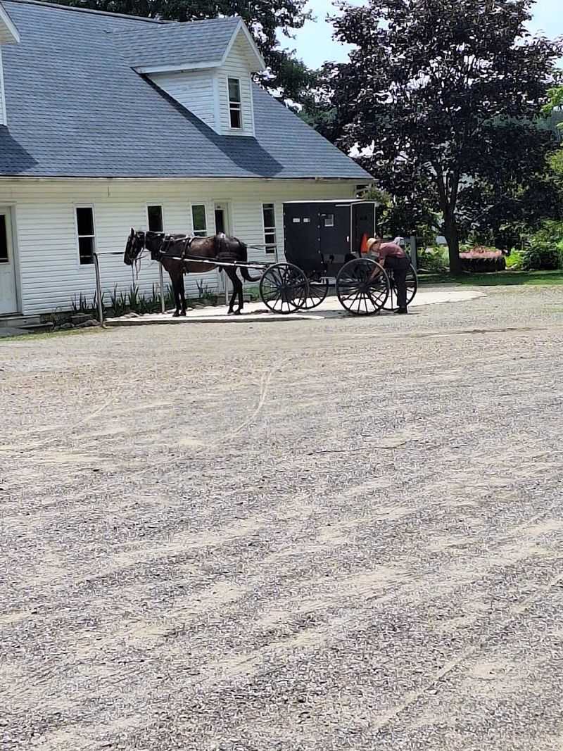 Countryside Bakery & Bulk Foods, Homer