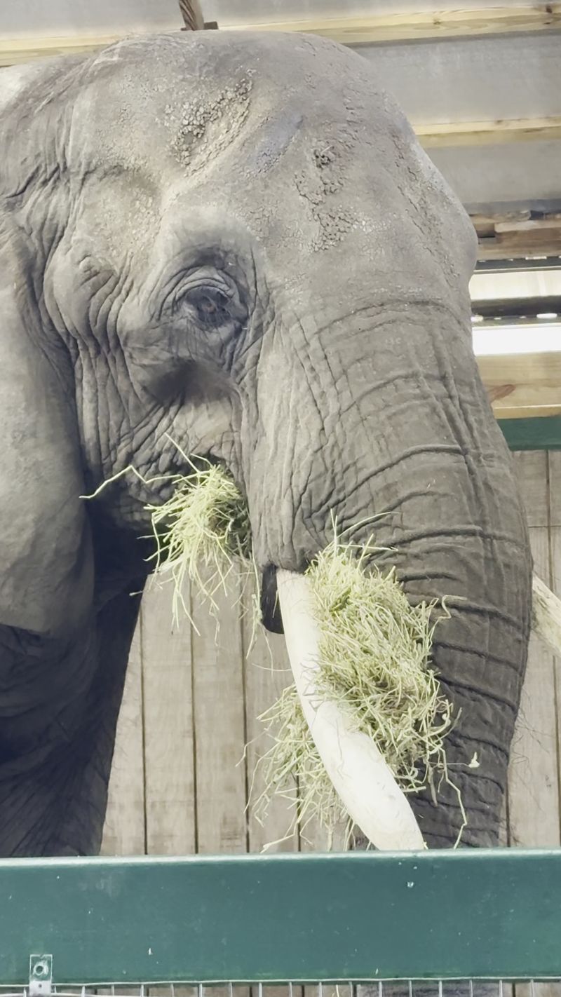 Meet The Personalities: Stories That Stick