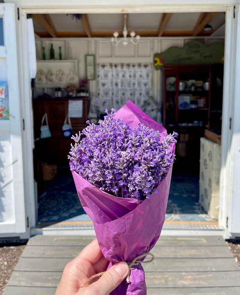 A Shop Full Of Lavender-Made Products
