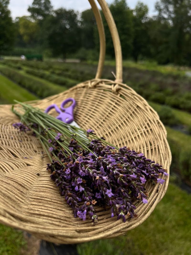 Workshops That Teach You Something 