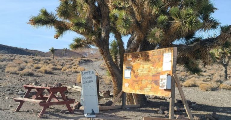 You Can Dig For Gemstones In This Nevada Town