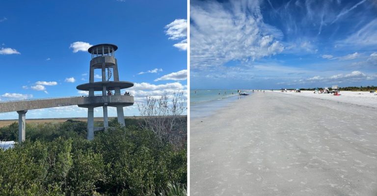 You Can Do These 10 Things In Florida For Under $6 And It Feels Unreal