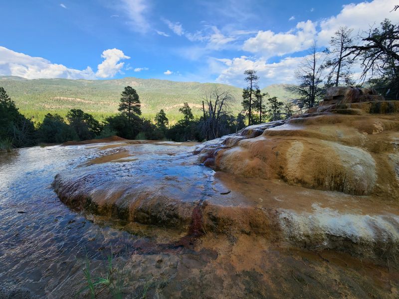 When The Plan Picks You