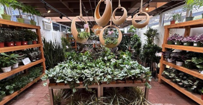 You Could Easily Lose Track Of Time At This Unique Garden Marketplace In California