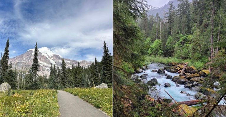 You Don’t Have To Be A Serious Hiker To Love These 10 Easy Washington Trails Under 5 Miles