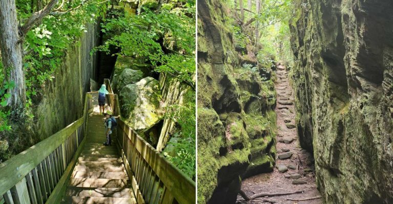 You Don’t Need Hiking Experience To Love These 10 Easy Illinois Trails